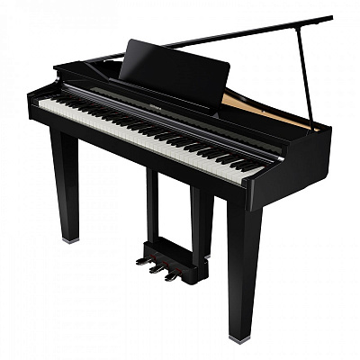 Roland GP 3-PE цифровой рояль