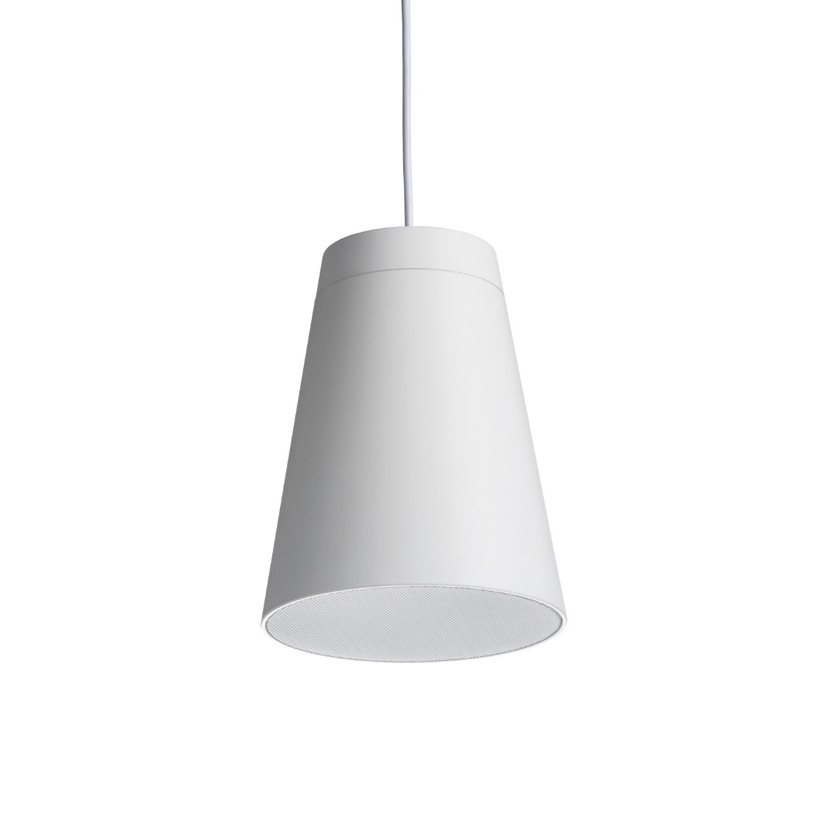 FBT LIBRA 5CT W - двухполосная коаксиальная пассивная акустическая система с траснсформатором 5' +