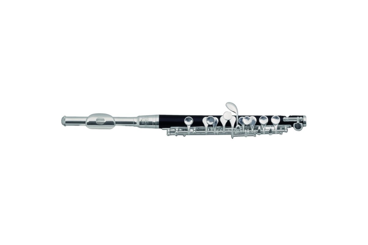 Roy Benson PC-502 флейта Piccolo