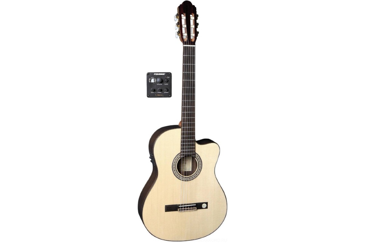 VGS R-10 CE Rose Natural Gloss Satin Neck электроакустическая гитара
