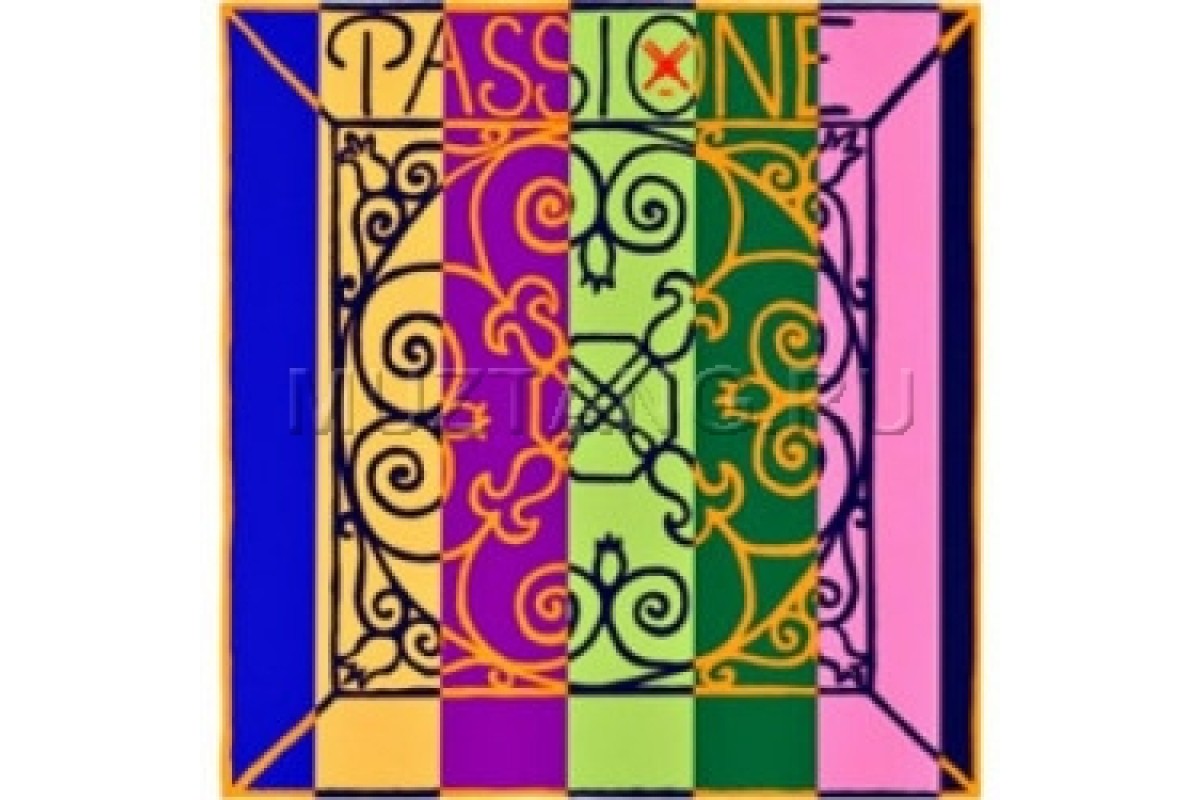 PIRASTRO Passione Solo 219081 струны для скрипки 4/4